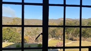 A view through a window with a grid pattern, displaying a grassy area with trees and a hilly landscape in the background.