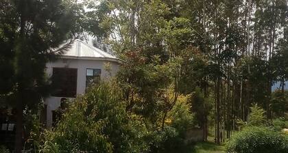 natural environment from river side