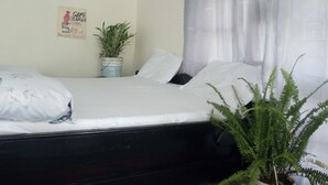 A room with two beds, a potted plant, a sign on the wall, and a window with a curtain. - natural environment from river side (ARUSHA)