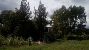 A house surrounded by dense trees and a grassy field. - natural environment from river side (ARUSHA)