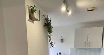 downtown apartment at the foot of the Vosges