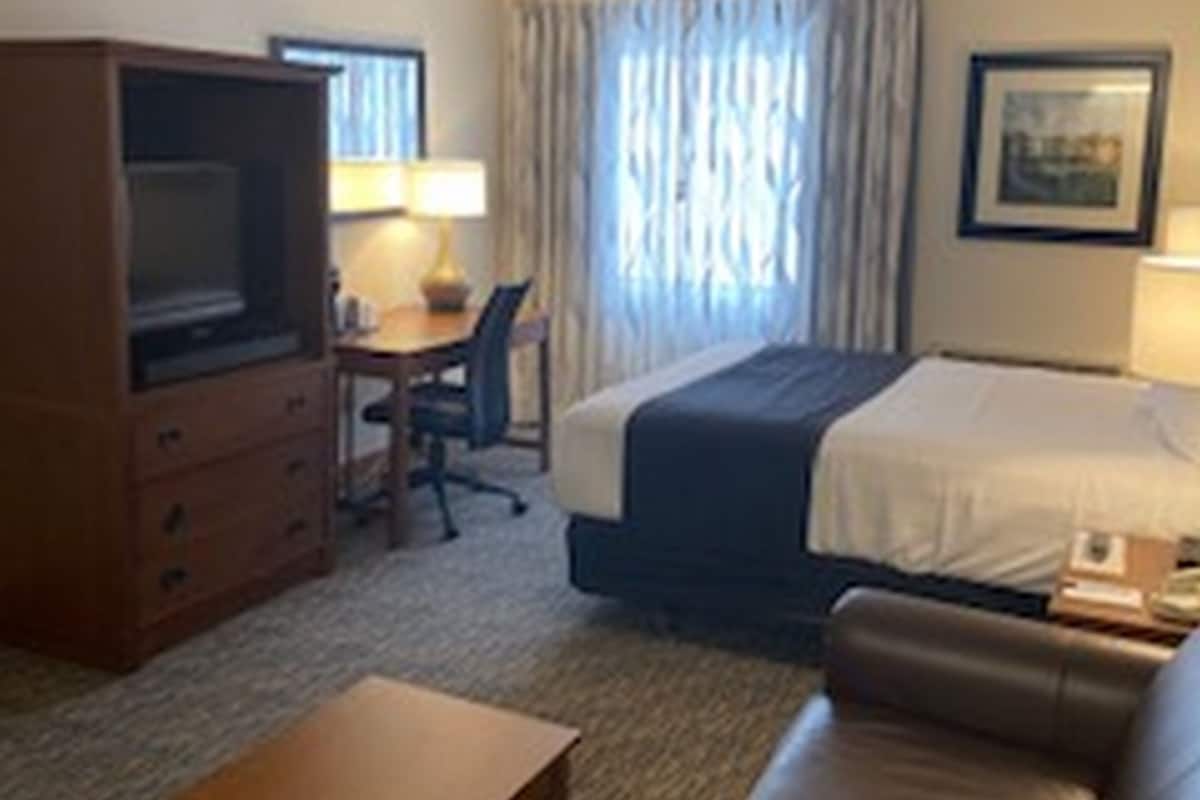 Studio | Minibar, individually decorated, individually furnished