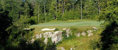 Un campo de golf rodeado de un bosque denso.