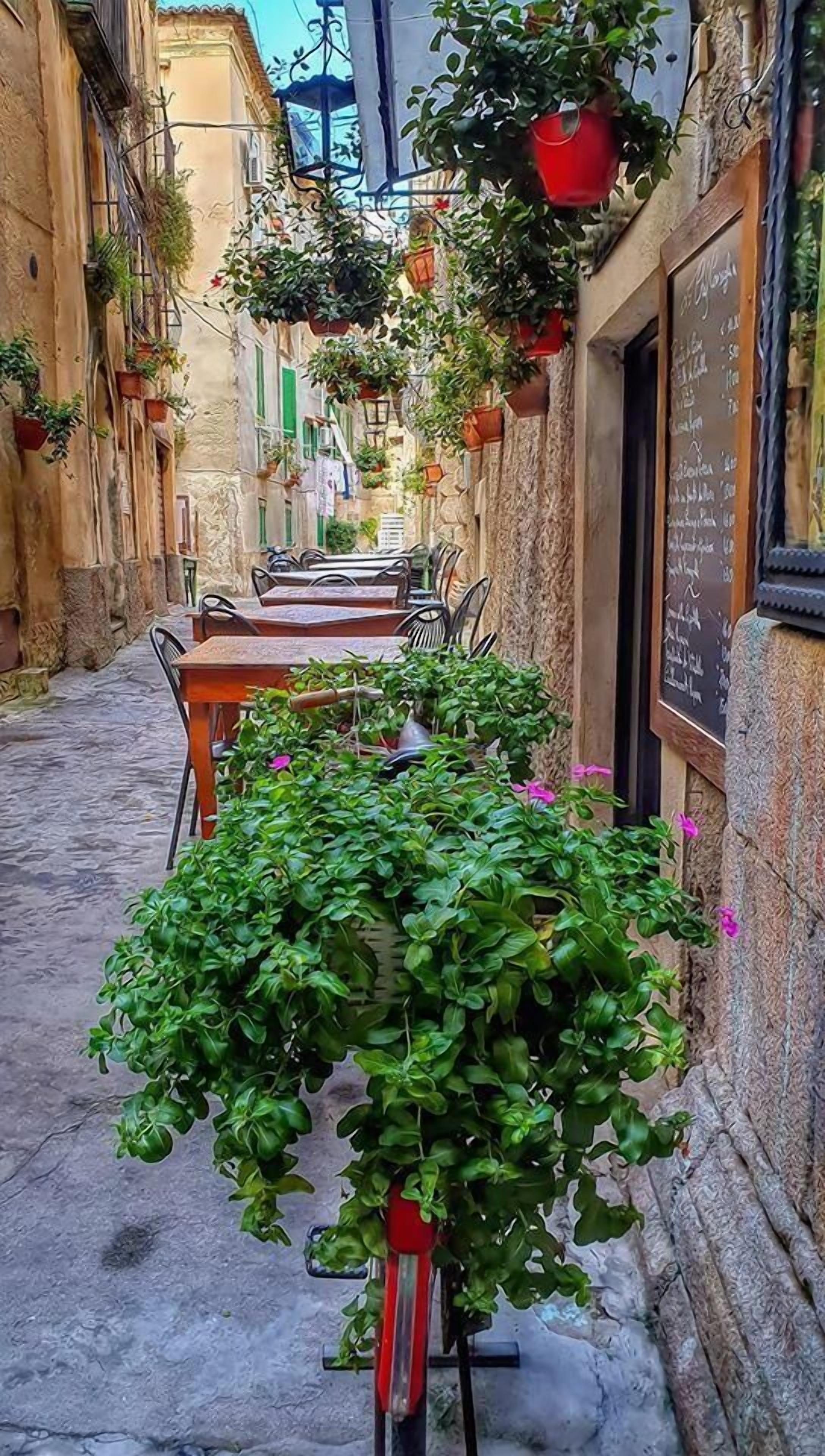Apartment, City View | Outdoor dining