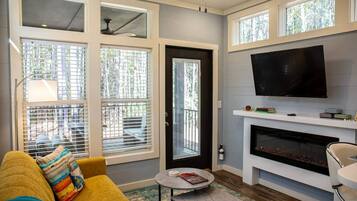 Smart TV, fireplace, books