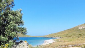Eine Küstenlandschaft mit klarem, blauem Meer, felsigem Ufer und spärlicher Vegetation.