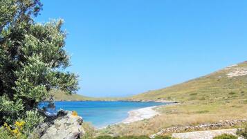 House | Beach | On the beach