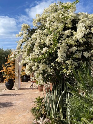 Áreas de la propiedad