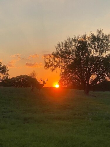 Private Ranch Getaway Near Lampasas 3BR Lodge Game Room Fishing Wildlife & Views