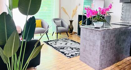 Apartment unit - White House with rental car.