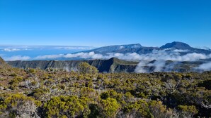 A mountainous landscape with dense vegetation and a clear sky. - Les Chambres et table d'hôte du Voyageur/ chambre citronnelle (La Plaine Des Palmistes)