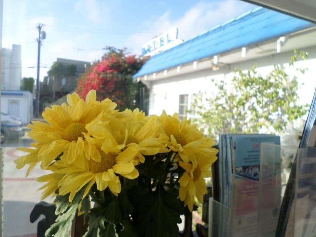 Foto - Rest Haven Motel