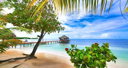 Reefside Retreat Orange Casita