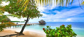 Reefside Retreat Orange Casita
