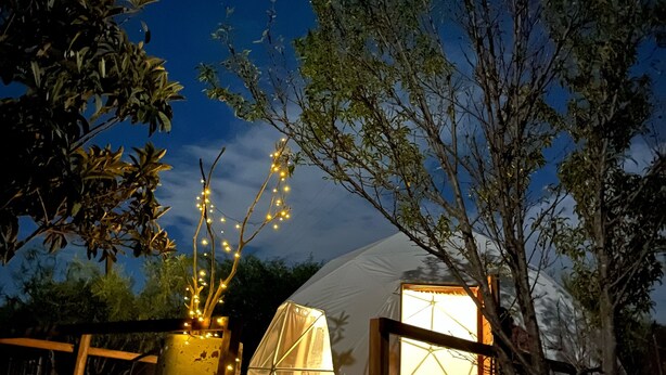 Uma tenda em forma de cúpula com um deck de madeira na frente, rodeada por árvores e iluminada por luzes de Natal.