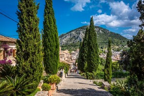 Unclassified image, 2 of 19, button