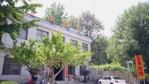 Un edificio de estilo arquitectónico tradicional, un árbol en primer plano y un coche estacionado.
