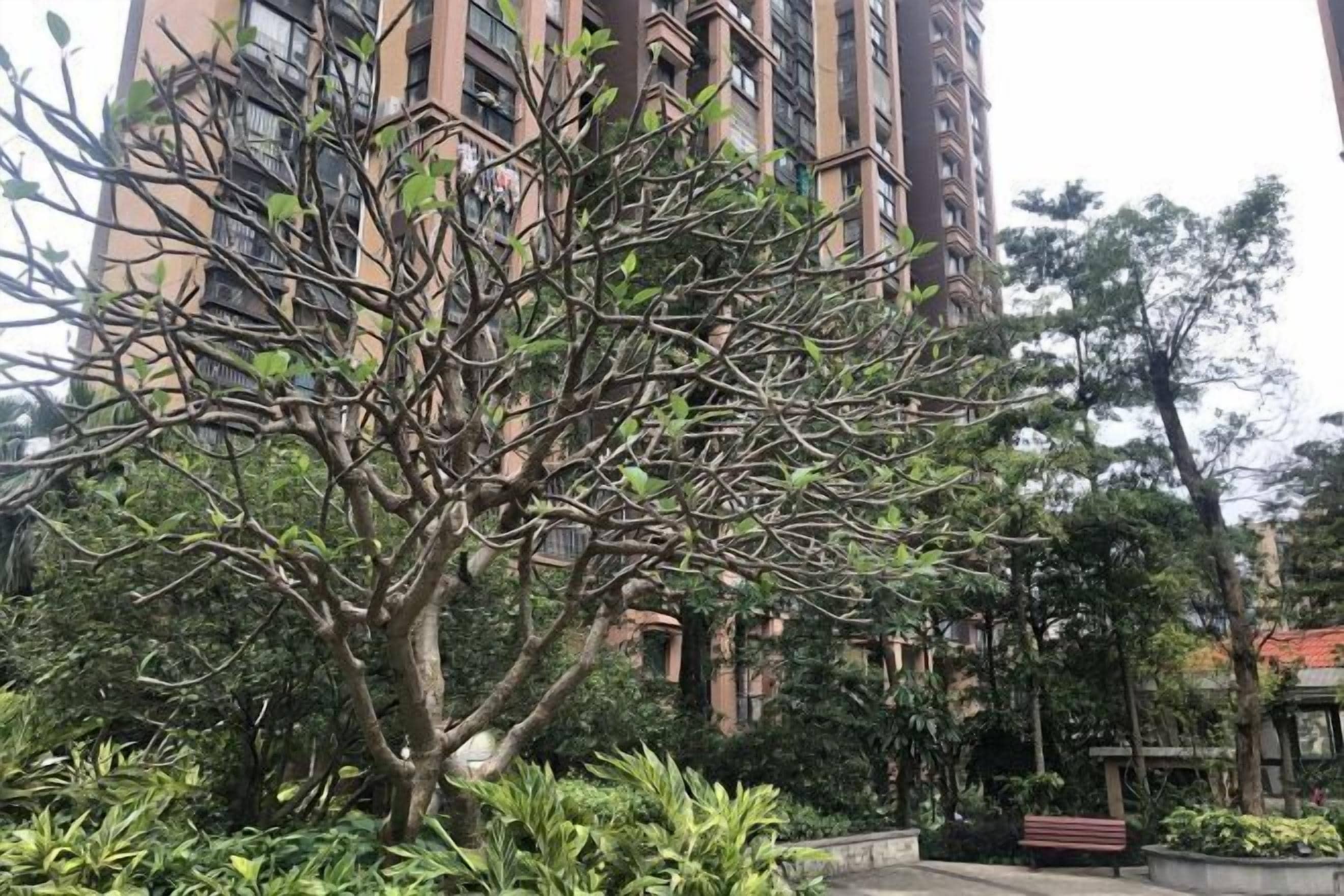 施設からの眺望