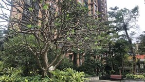 A tree-lined courtyard with a bench and a building in the background. - Fuxin Inn (Zhuhai Baitengtou ) (Zhuhai)