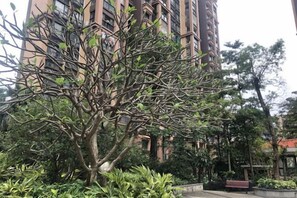 A tree in a landscaped area with a building in the background.