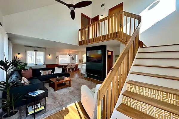 TV connectée, cheminée, livres