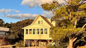 A two-story house with a front porch, a mailbox, and a large pine tree in the background.