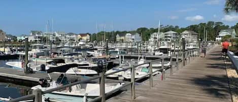Marina