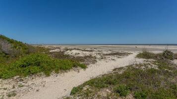 On the beach, sun loungers