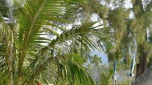 A beach scene with a palm tree, a red boat, and a large rock formation. - Villa Ban Rim Nam 50c (Ko Chang)