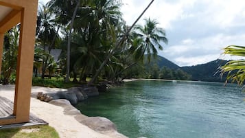 House | Property grounds