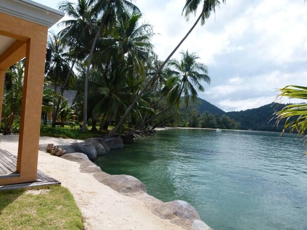 House | Property grounds