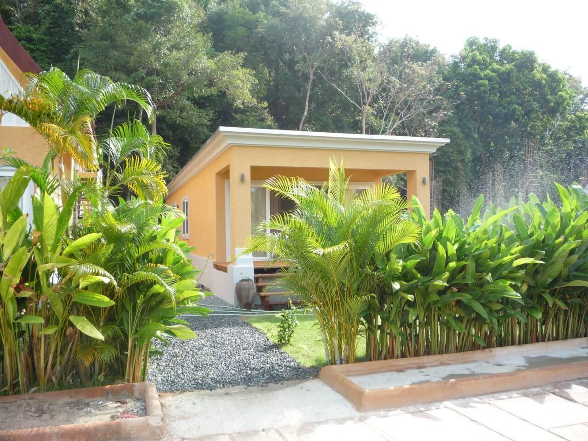 A modern house with a yellow facade, surrounded by lush greenery and a gravel driveway.