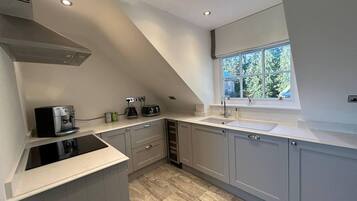 Apartment, 2 Queen Beds | Private kitchen | Fridge, microwave, oven, stovetop