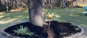 Cheerful One Bedroom Remodeled Tiny Home, close to everything!