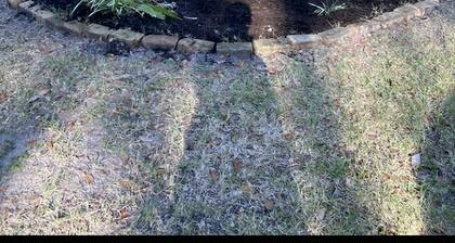 Cheerful One Bedroom Remodeled Tiny Home, close to everything!