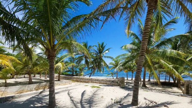 Ein sandiger Strand mit Palmen und blauem Himmel.