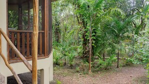 A wooden staircase leading to a room with a view of a lush garden. - The Cabins at Monkey Fall (San Ignacio)
