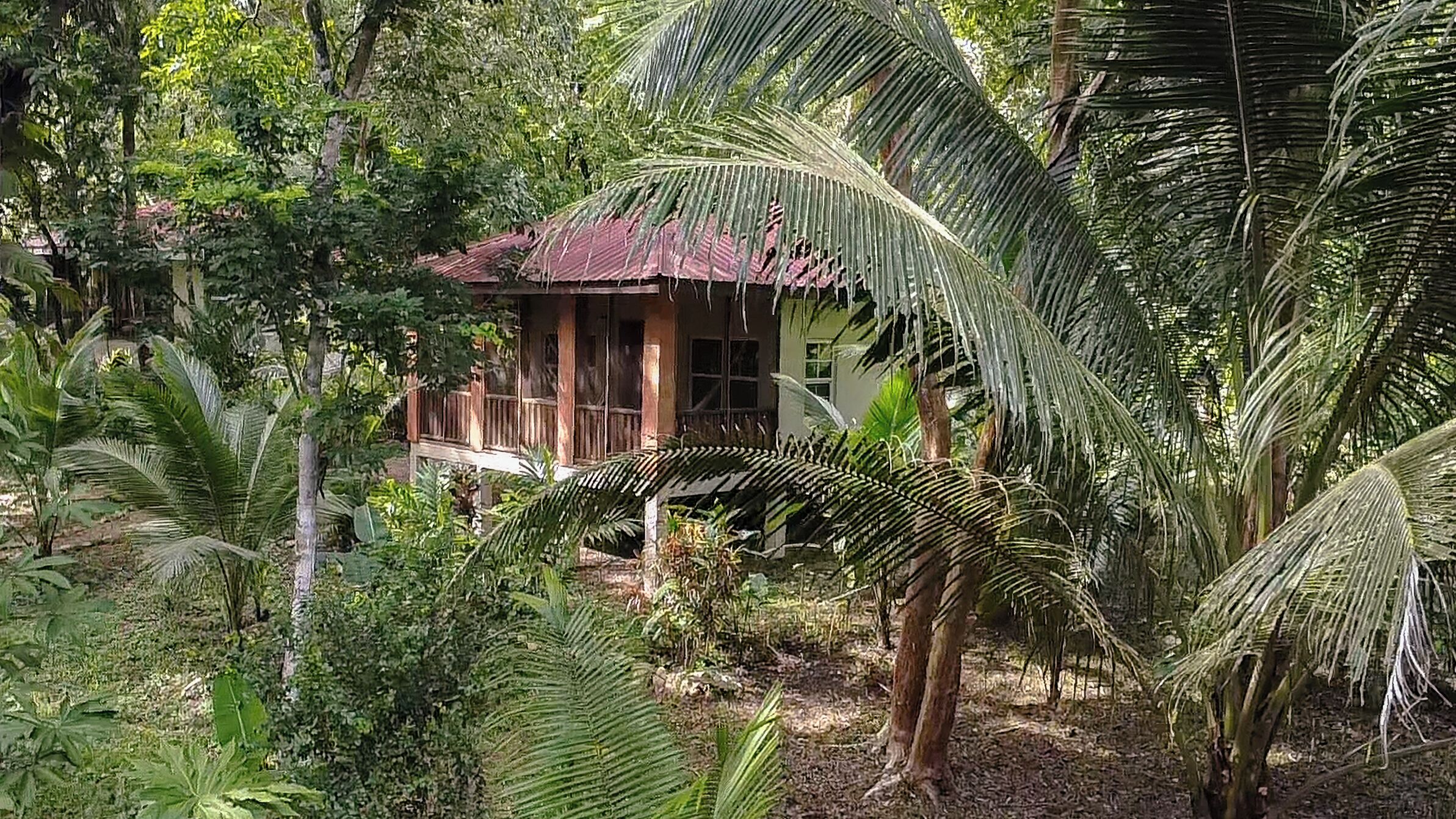 Family Cabin, 1 Bedroom, Refrigerator & Microwave, Garden View