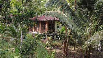 Family Cabin, 1 Bedroom, Refrigerator & Microwave, Garden View