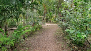 Garden - The Cabins at Monkey Fall (San Ignacio)
