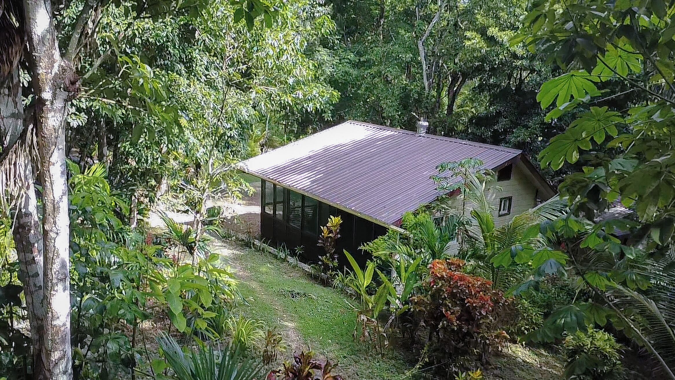 A secluded house surrounded by dense foliage, with a visible pathway leading to the entrance.
