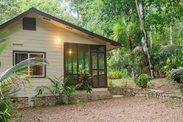 Colchones con pillow-top, decoración personalizada y muebles diferentes