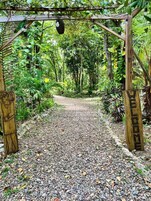 A wooden pergola structure with a gravel pathway leading through a garden.