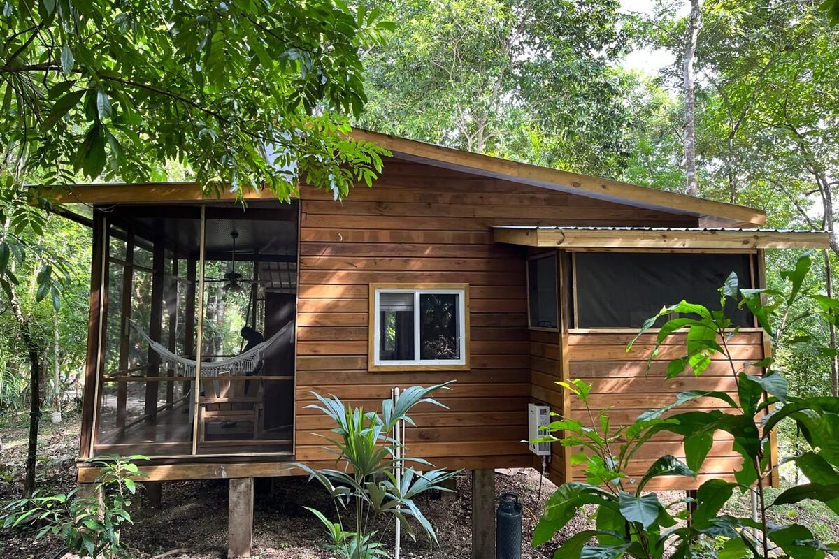 A wooden cabin with a glass door, a small window, and a hammock.