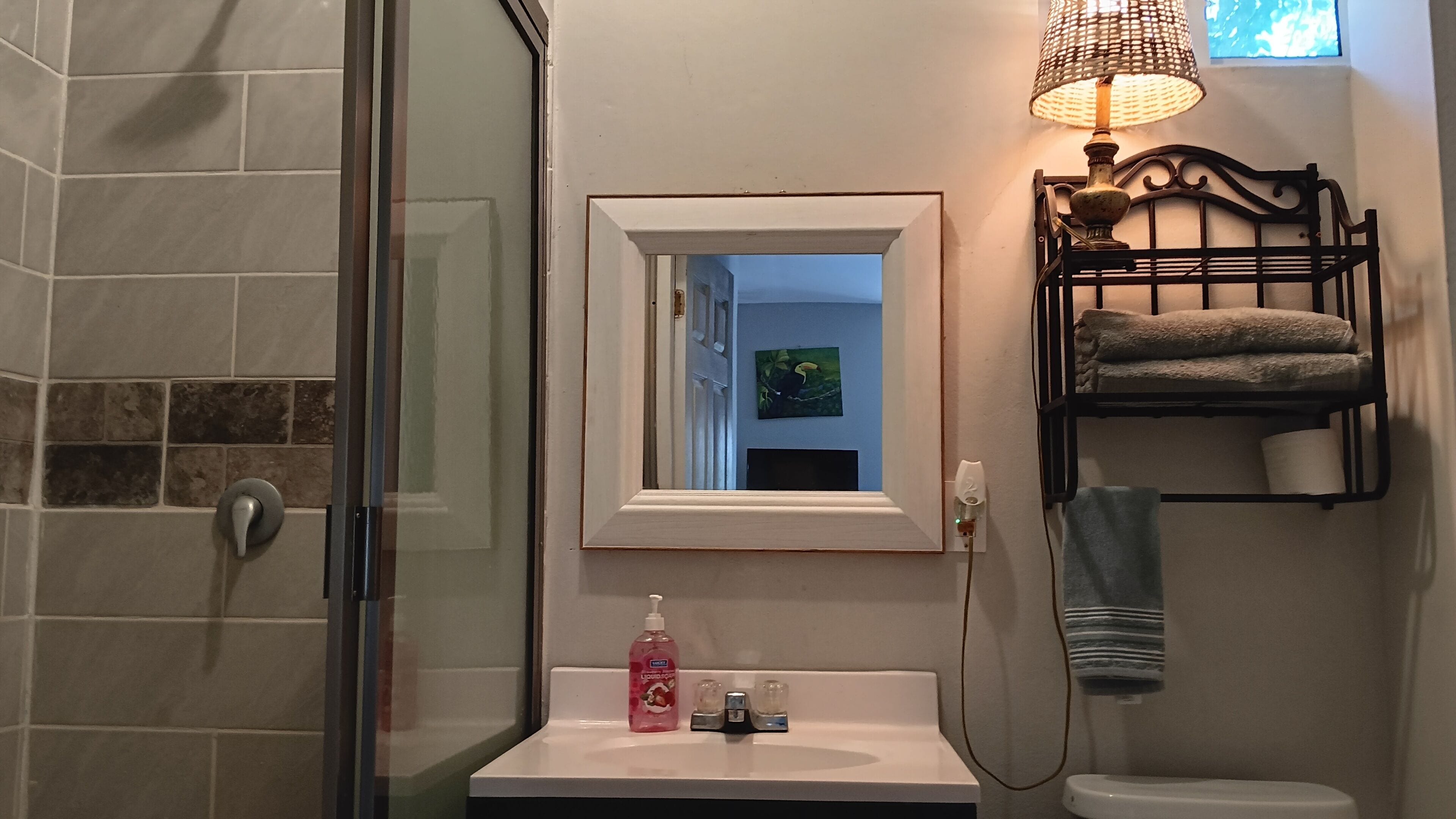 Un baño con cabina de ducha de vidrio, un lavabo blanco con dispensador de jabón, un perchero con toallas y un espejo instalado en la pared.