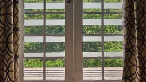 A door with a view of a lush green landscape.