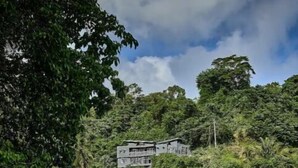 A beach with a building on a hill, surrounded by dense foliage.