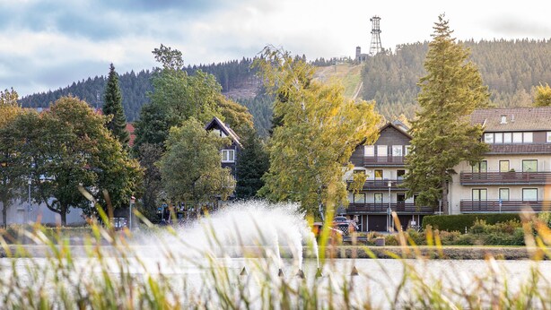 Un quartier résidentiel avec des maisons, un élément décoratif aquatique et une colline parsemée d’arbres, avec une tour de ligne électrique en arrière-plan.