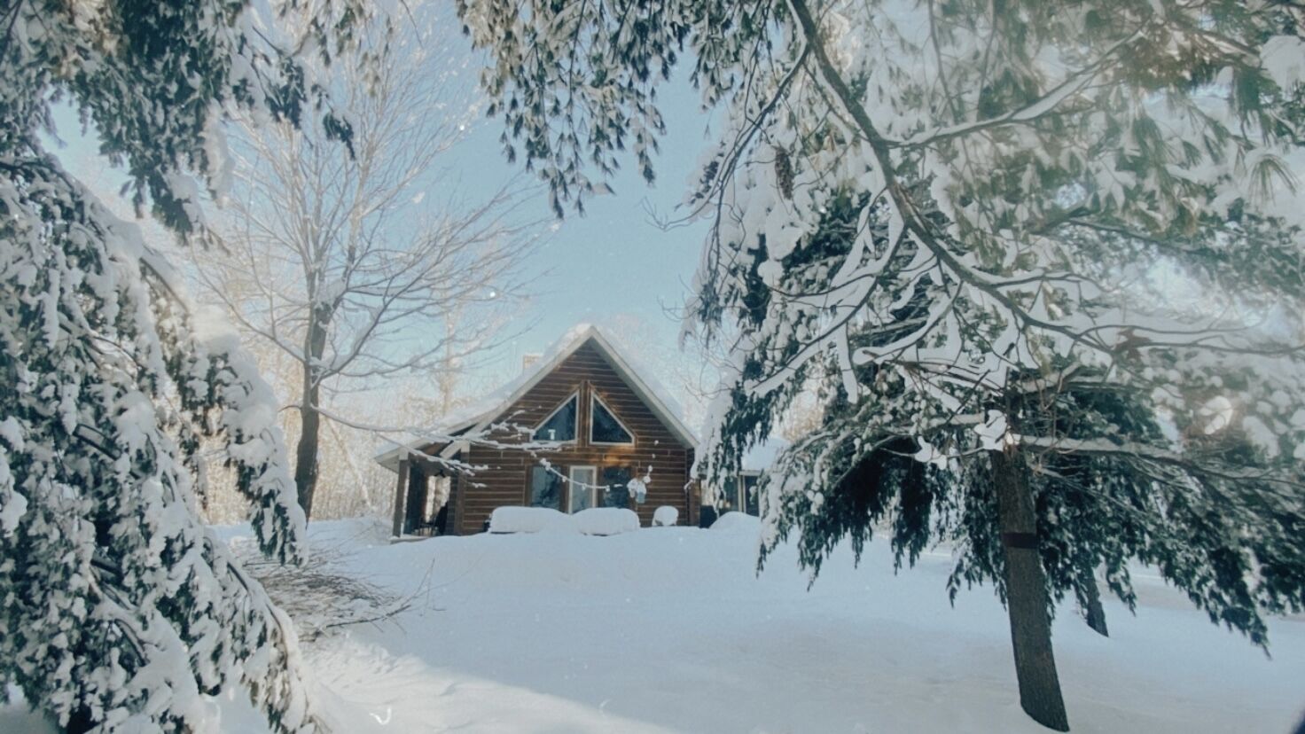A wooden cabin surrounded by snow-covered trees.