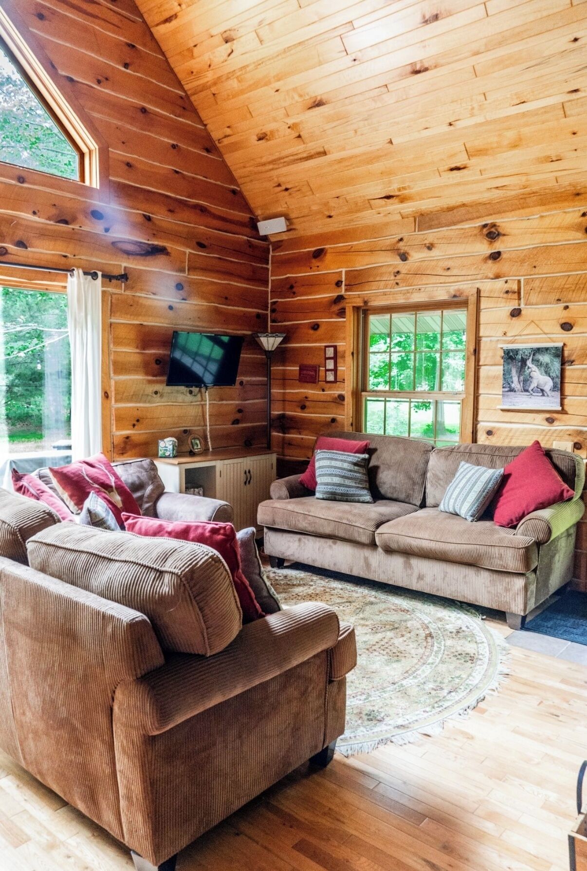 Smart TV, fireplace, DVD player, books